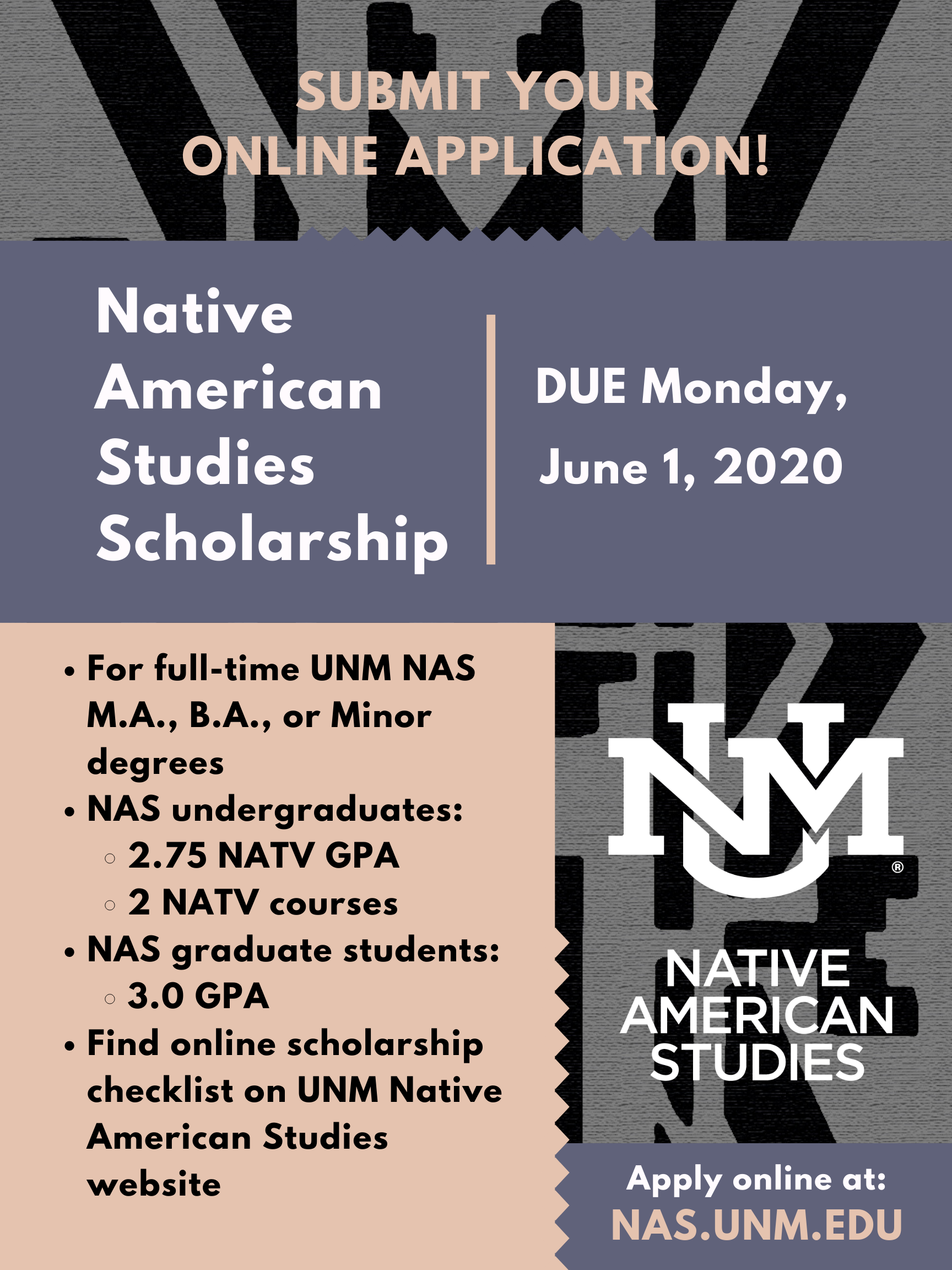 2020-2021 NAS Scholarship Application [article image]